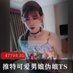 推特男娘伪娘TS精品视频合集[471V4.3G]，可爱小视频国内独家